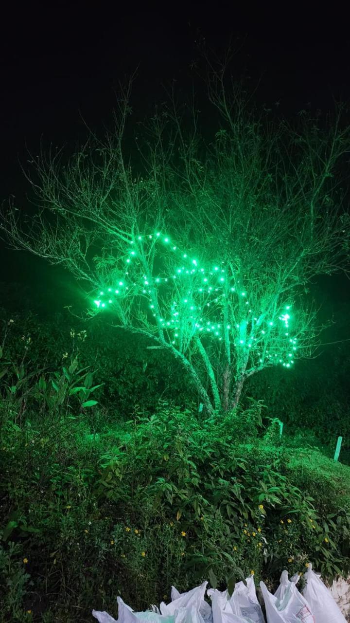 Bob Lesiure Otel Ooty Dış mekan fotoğraf